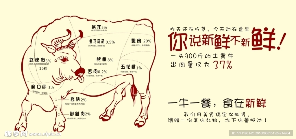 牛肉分解图