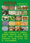 宣傳單