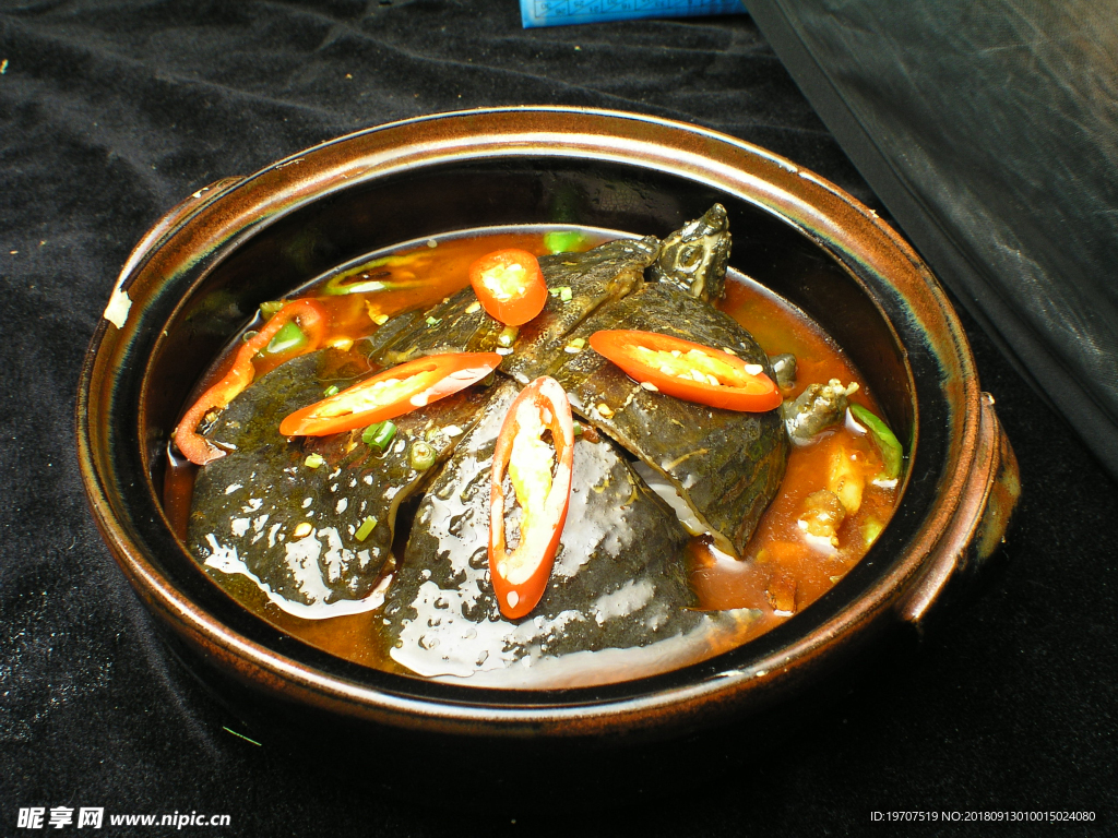 甲魚