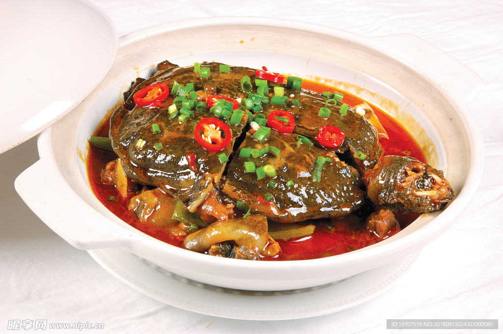 甲魚(yú)