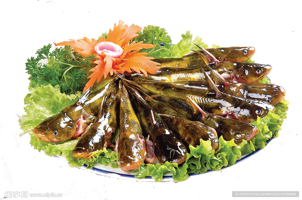 黃辣丁