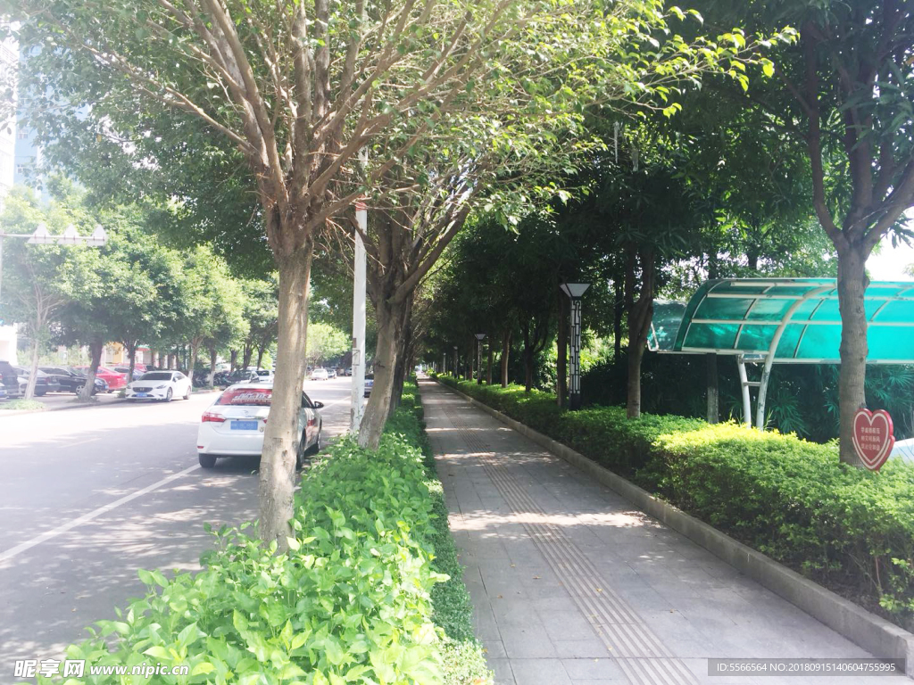 城市街道