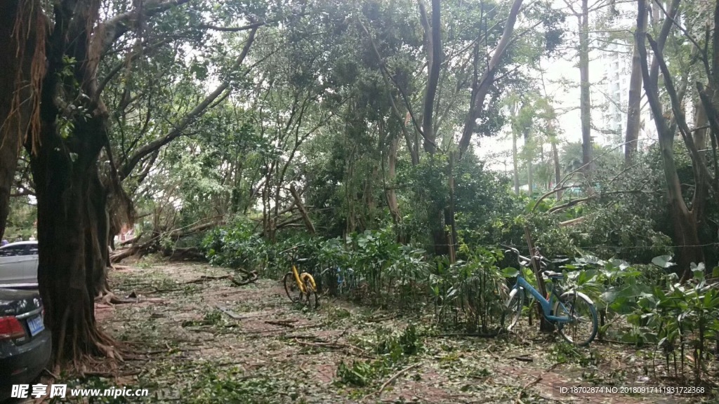 山竹后現場