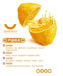 橙汁   高清菜谱