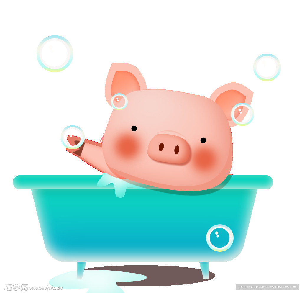 猪洗澡