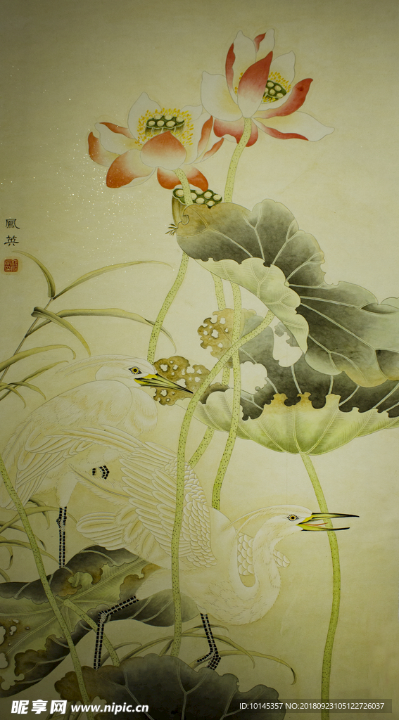 花鳥