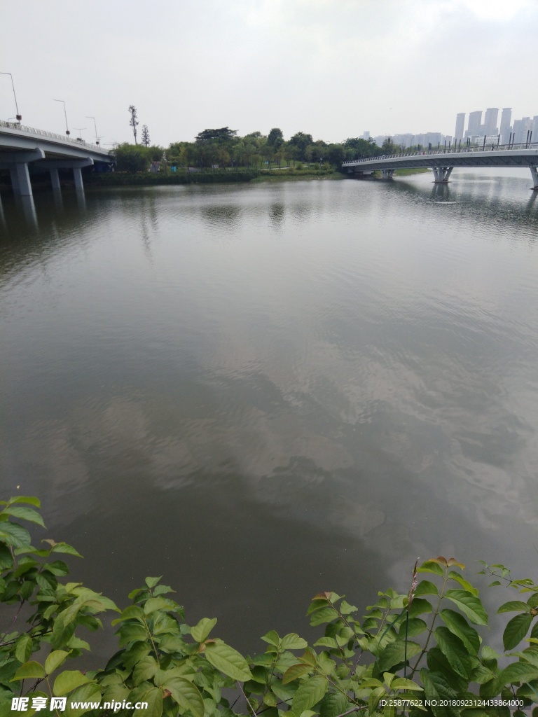 江河 江邊 河邊 水 河水