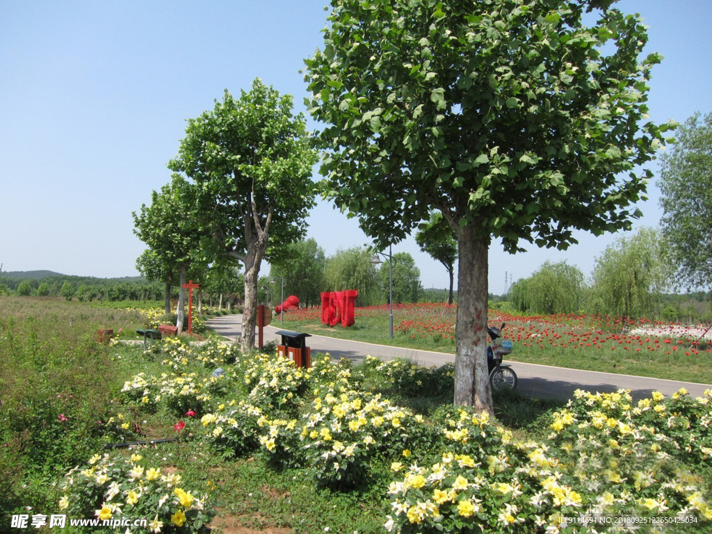 公園路邊