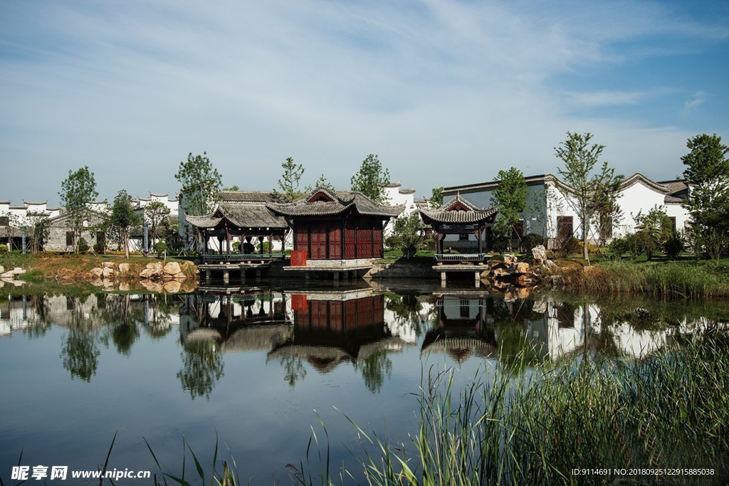 公園景色