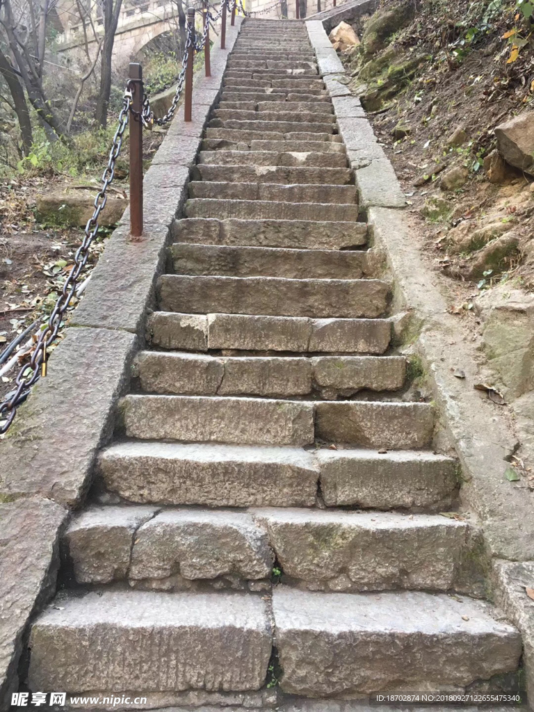 梯