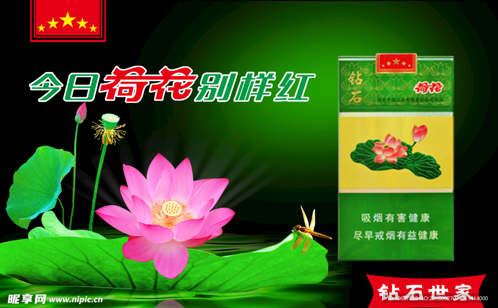 荷花