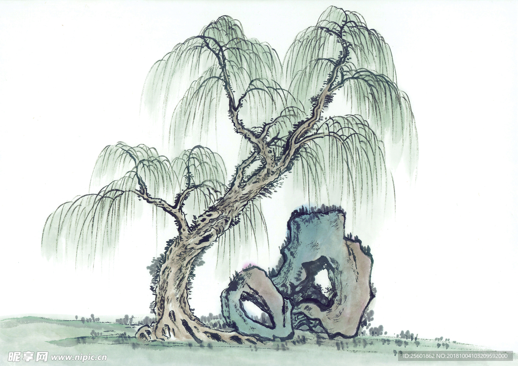 古樹