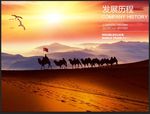企业文化 发展历程 沙漠 骆驼