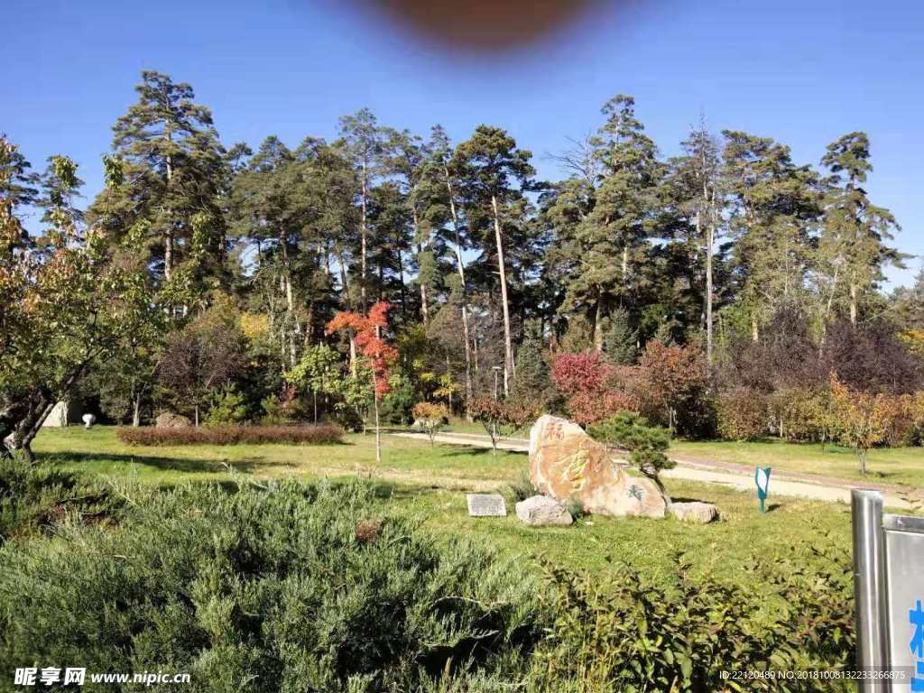 公園