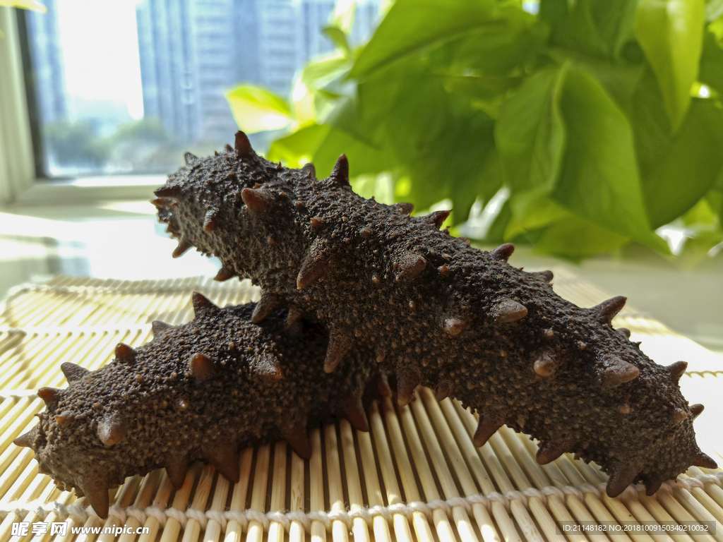 海參