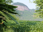 青山绿水