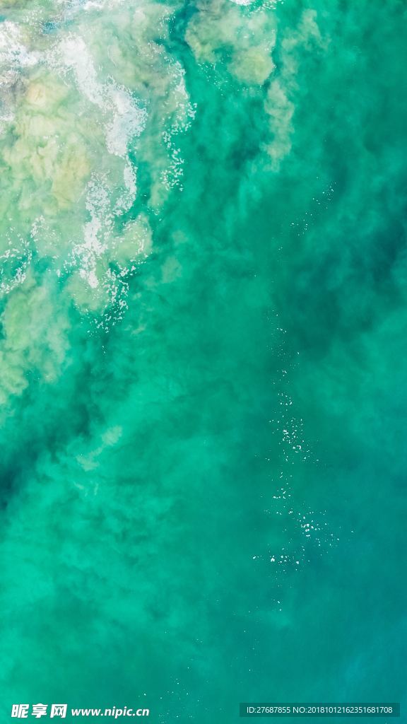 海水