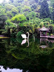 黔灵山公园天鹅湖