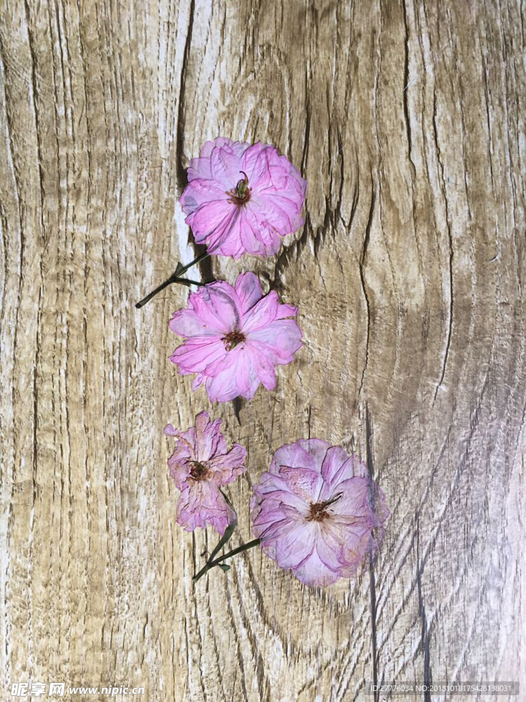 花與時(shí)光