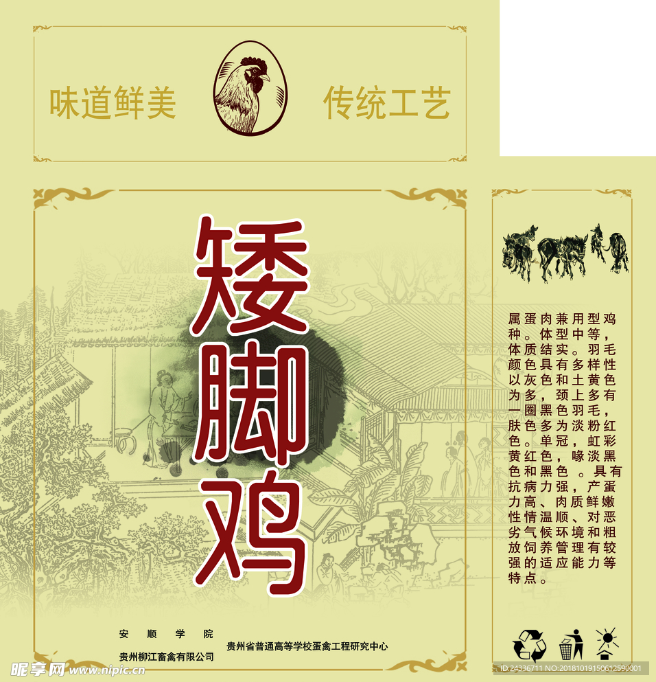 矮腳雞禮盒