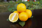 甜橙 橙子 柠檬 褚橙 水果