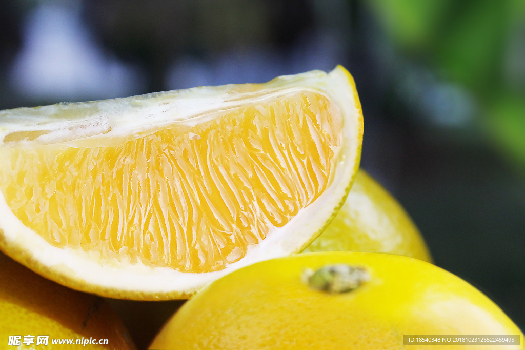 橙子 柠檬 褚橙 水果 橙子素
