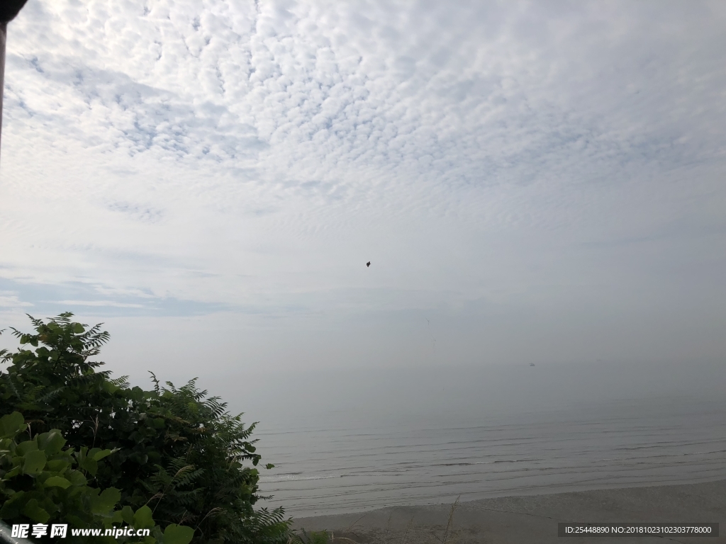 大海 天空 海鳥