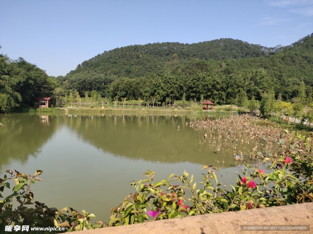 云浮市府風景