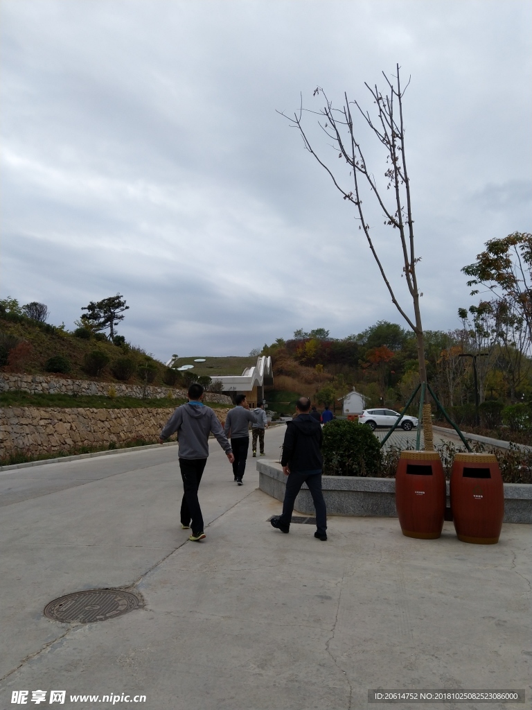 游覽公園風景
