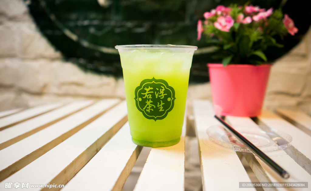 綠茶 茶 飲料