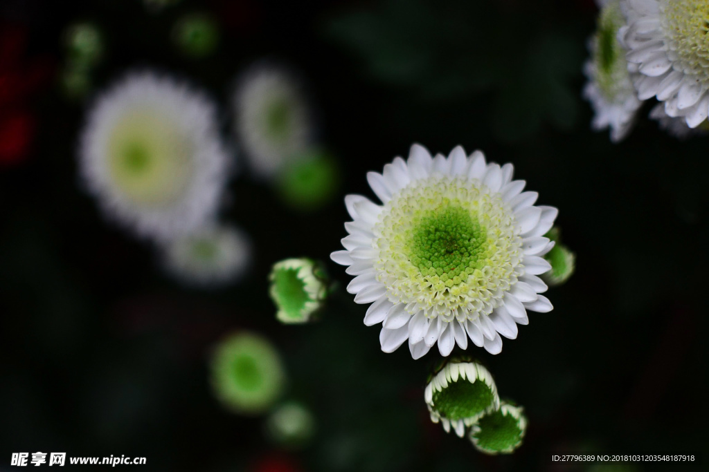 花