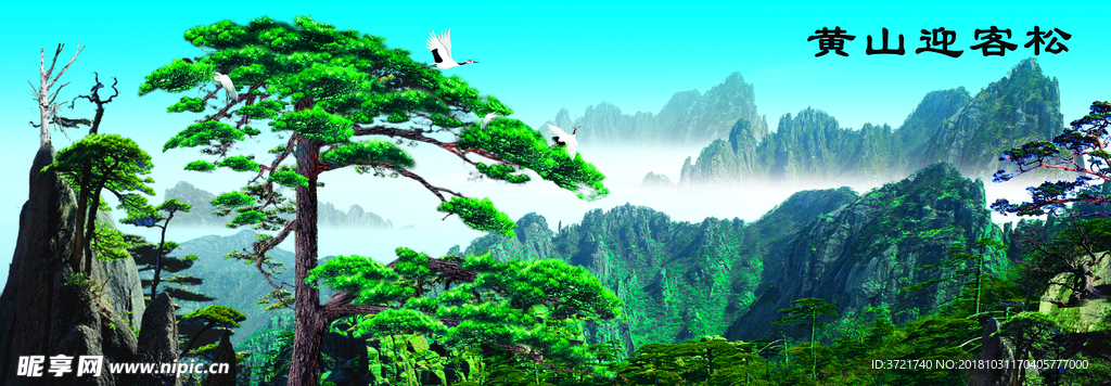 黃山迎客松