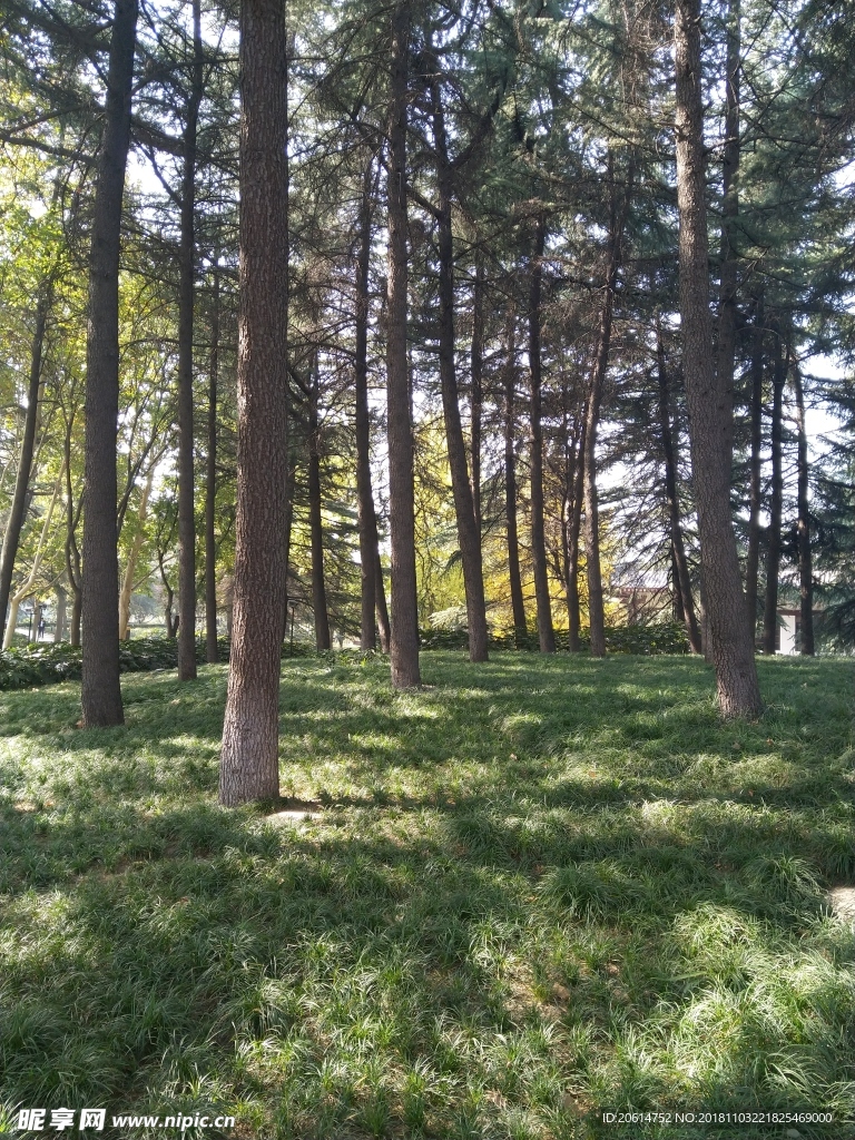公園美麗風(fēng)景