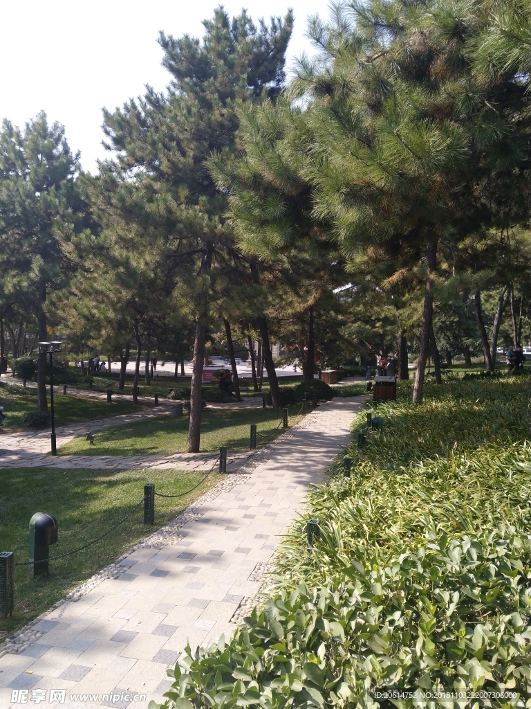 公園美麗風(fēng)景