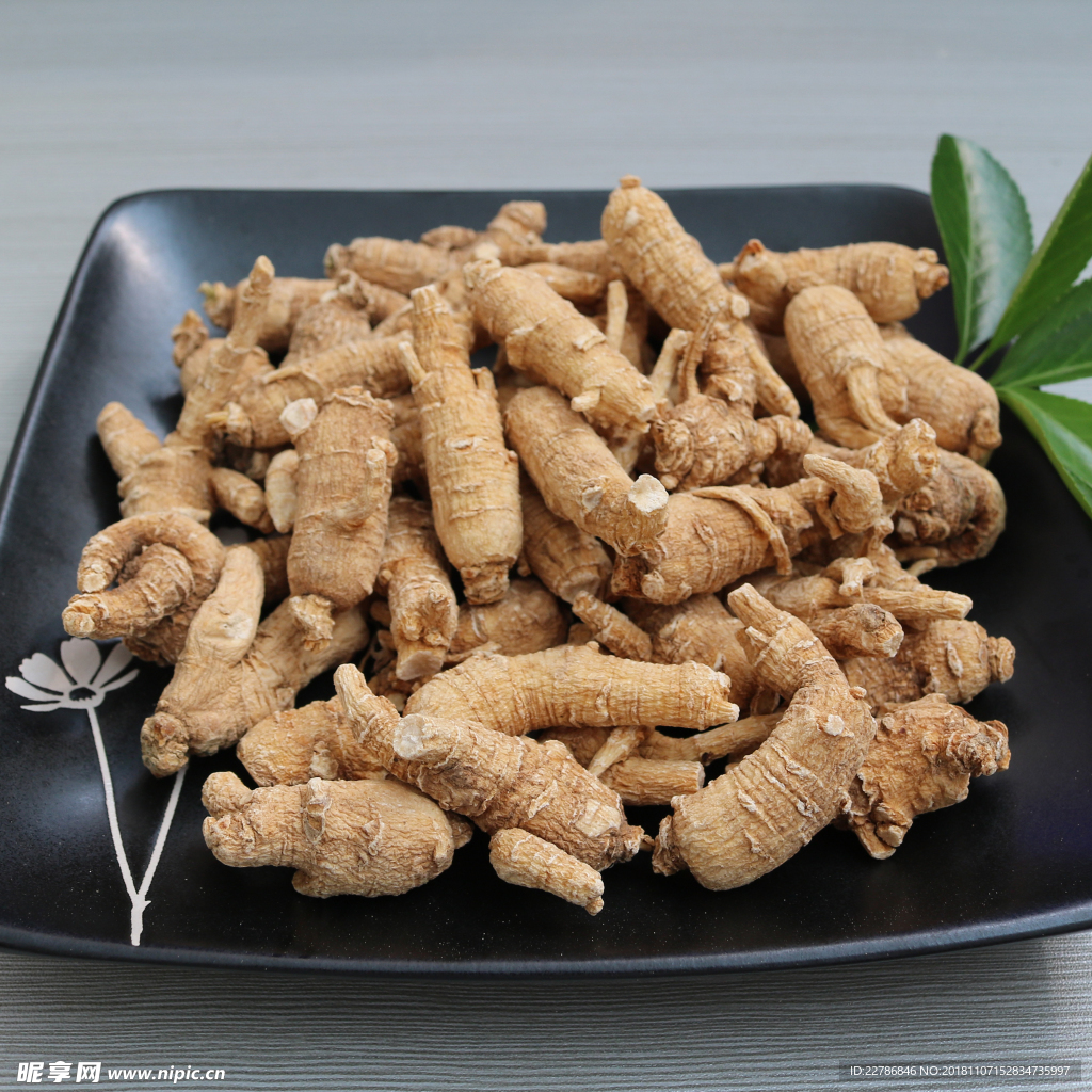 西洋參粒頭
