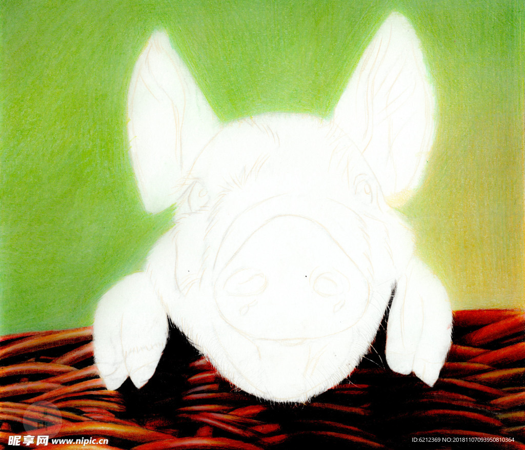彩铅超写实绘画过程-小花猪