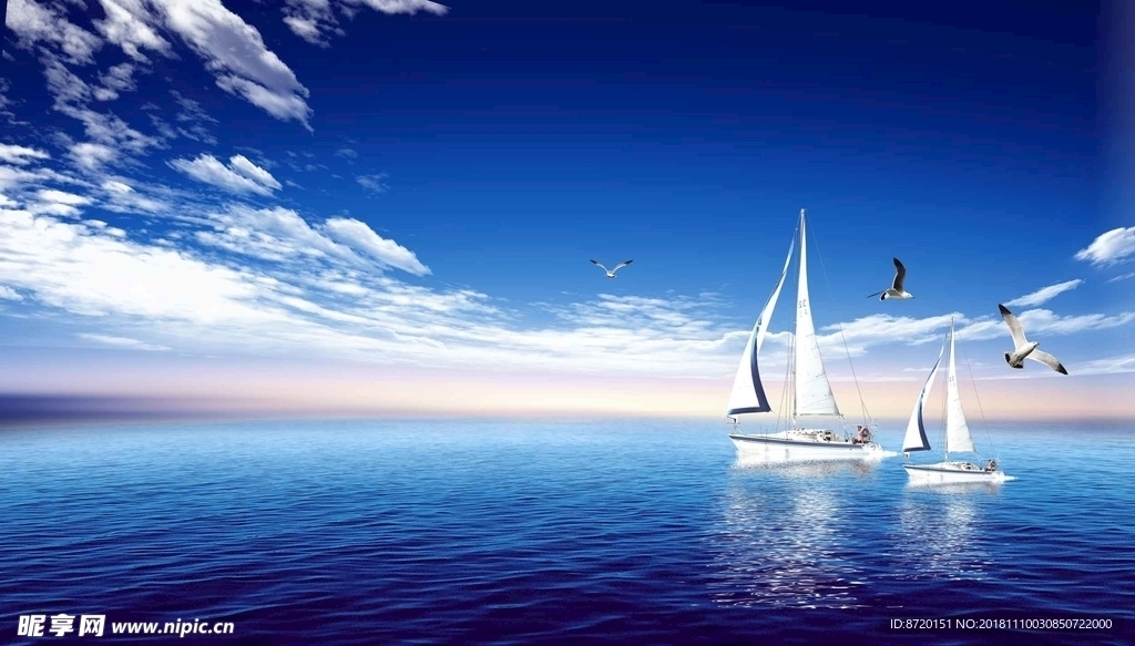海
