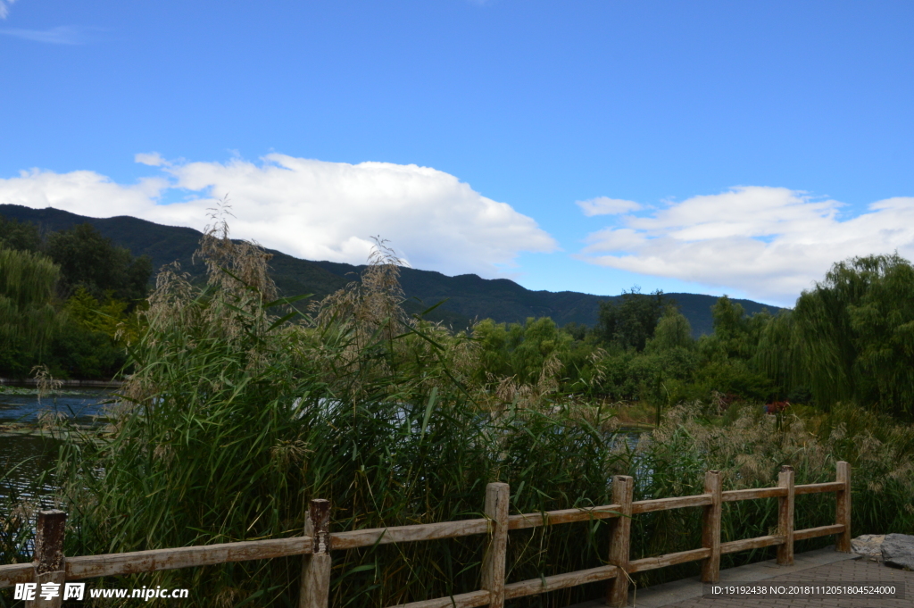 園風景