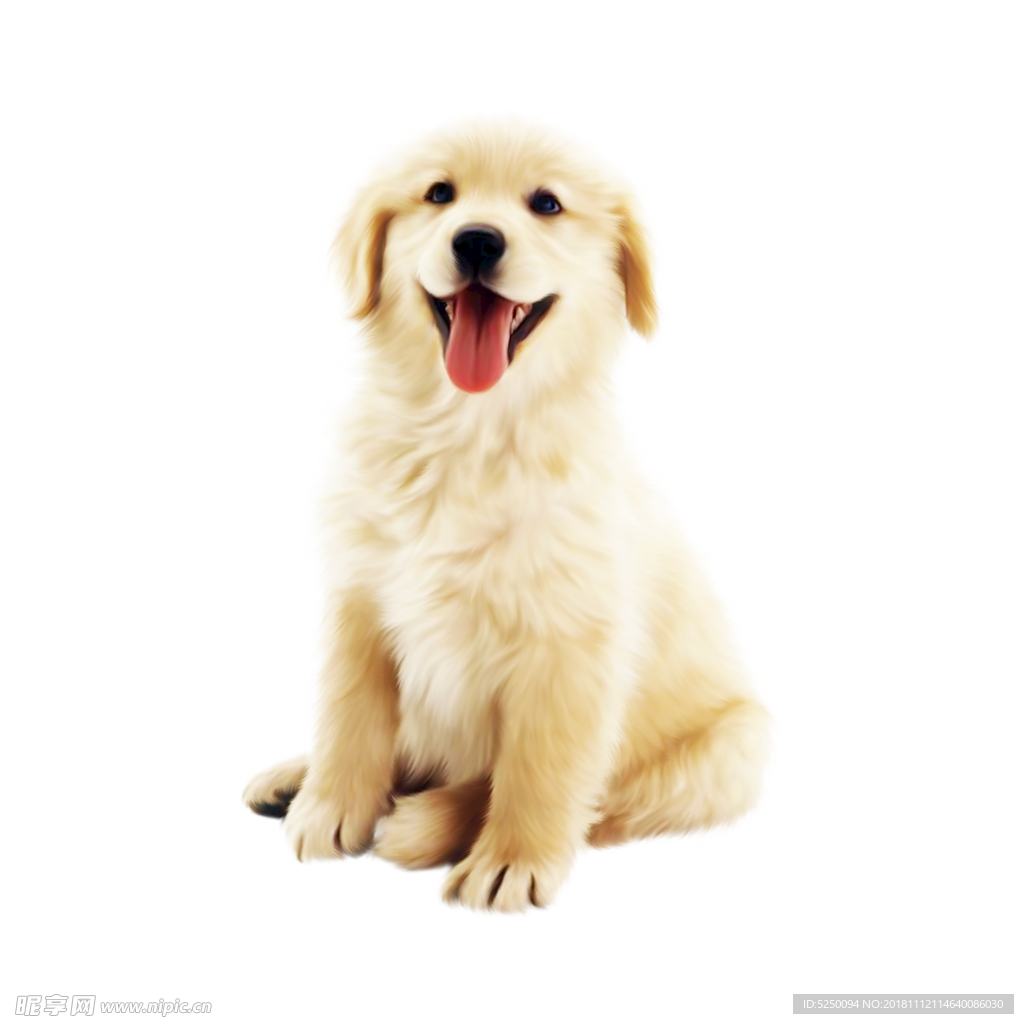 狗狗 狗 小狗 寵物 動物