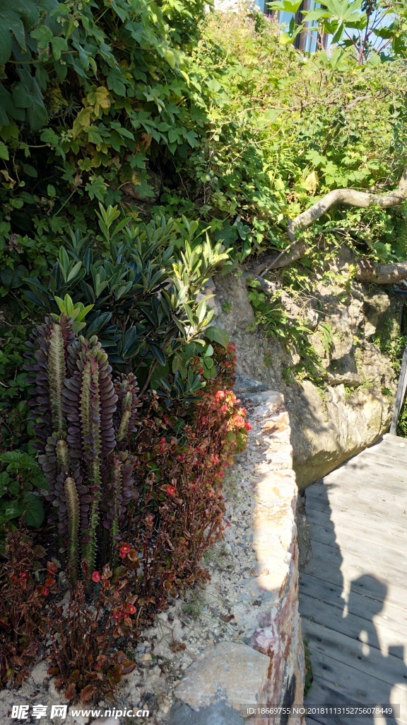 名宿  植被  院子   擋堵