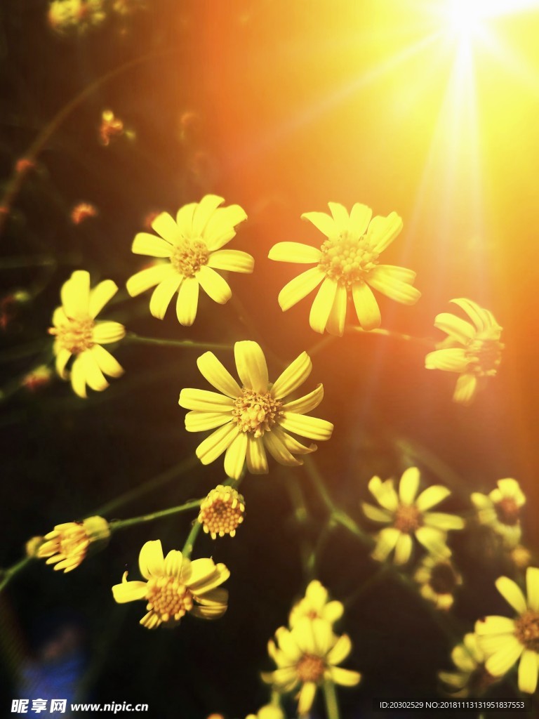 花