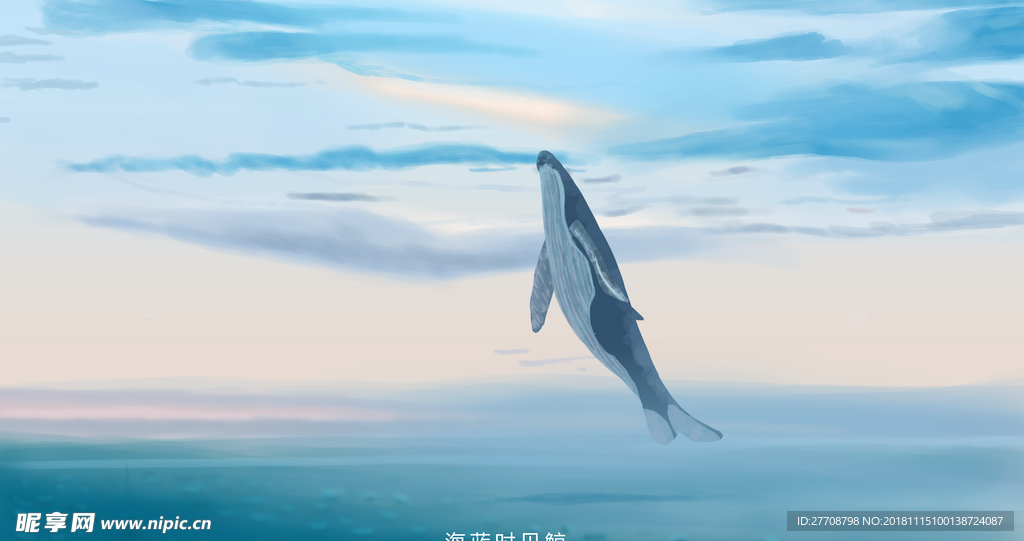 鲸鱼手绘插画