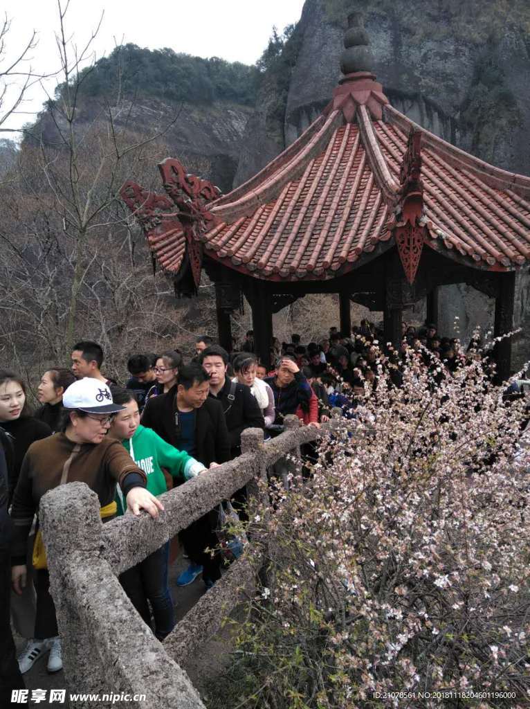 春天的武夷山