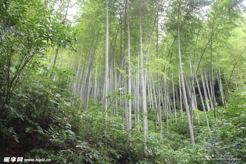 風景圖片 山水風景 旅游風景圖