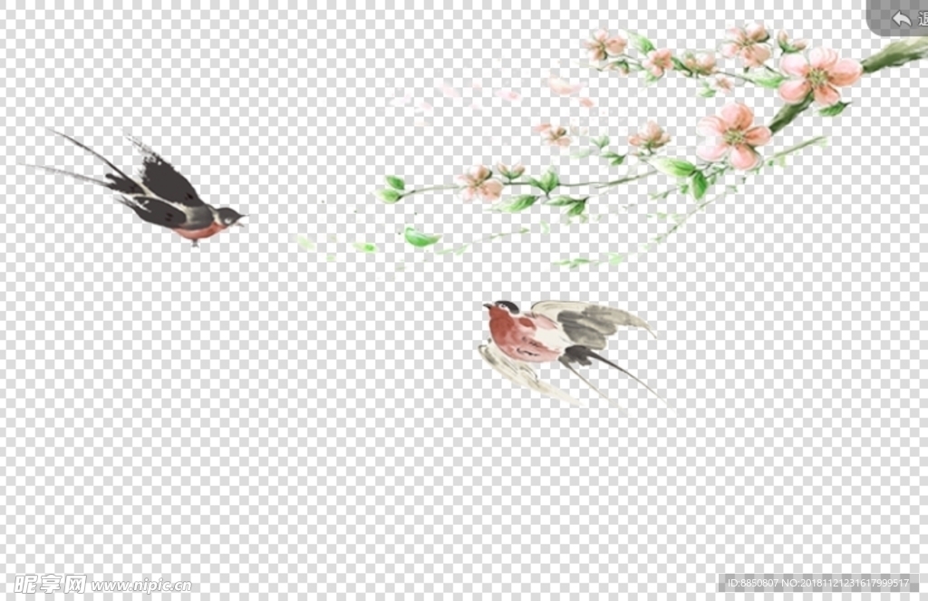 春天燕子