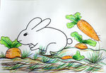小白兔和胡萝卜