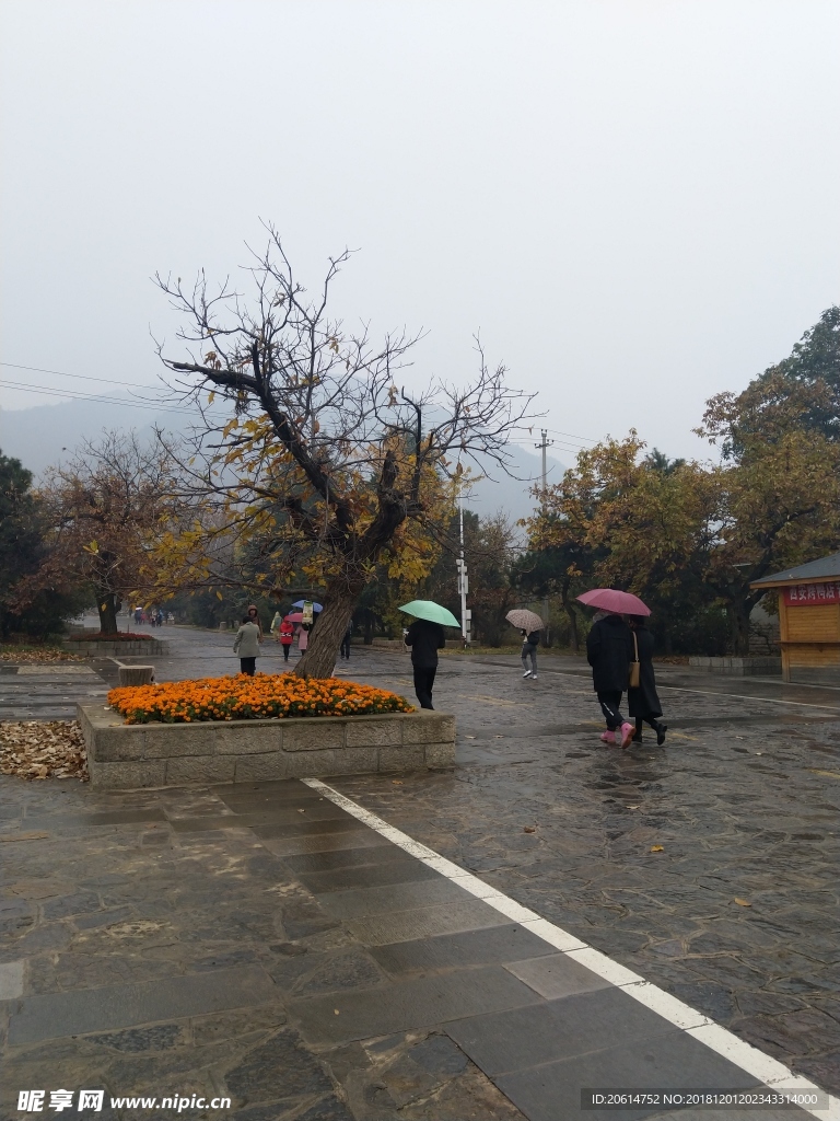 雨天的公園風景