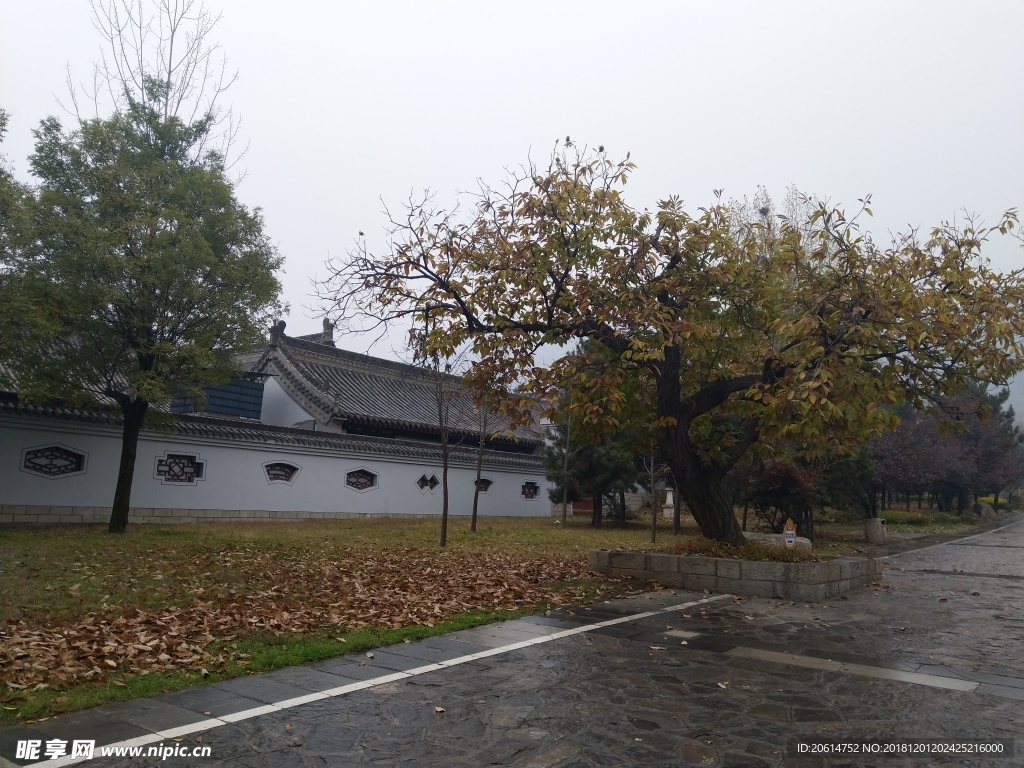 雨天的公園風(fēng)景