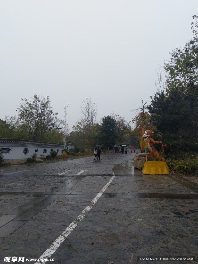 雨天的公園風景