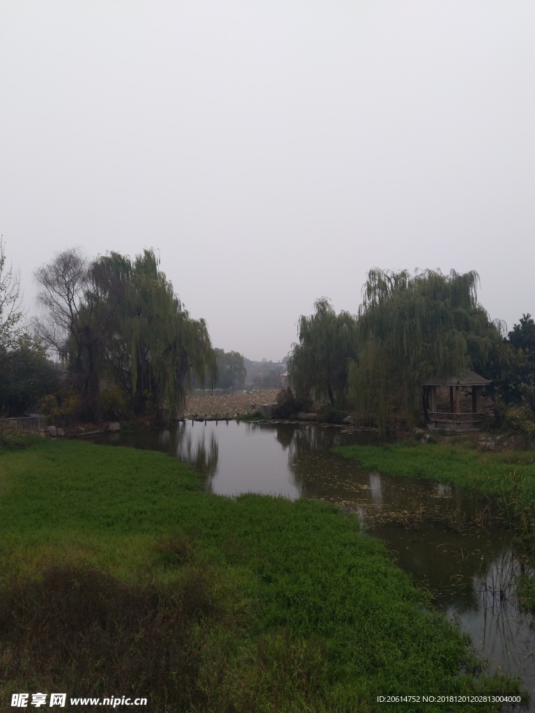 公園河道風景